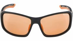 Alpina Lyron VL Fahrradbrille 13 Alpina Lyron VL Fahrradbrille -Fahrradladen 0215589 6934 3