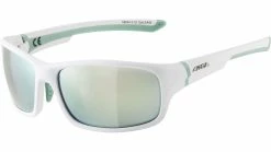 Alpina Lyron S Fahrradbrille -Fahrradladen 0215592 1731 0