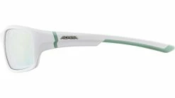 Alpina Lyron S Fahrradbrille -Fahrradladen 0215592 1731 2