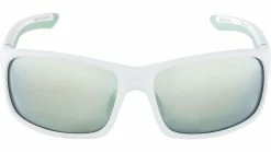 Alpina Lyron S Fahrradbrille -Fahrradladen 0215592 1731 3