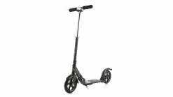 Micro Scooter Flex 200