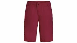 Vaude Men's Ledro Shorts