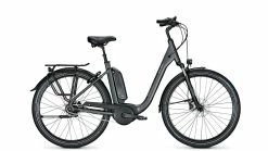 Raleigh Kingston 8 XXL RT