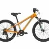 Cannondale Kids Trail 20"