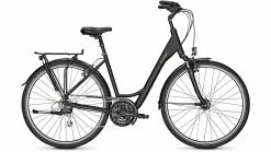 Raleigh Chester 21 Wave