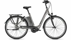 Raleigh Corby 8 RT -Fahrradladen az 0214494 1763 0
