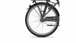 Raleigh Schoolmax Wave -Fahrradladen az 0218609 1755 2