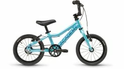 Academy 14 Grade 2 Belt