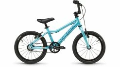 Academy 16 Grade 3 Belt