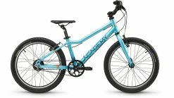 Academy 20 Grade 4 Belt