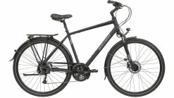 Bergamont Sponsor Disc Gent