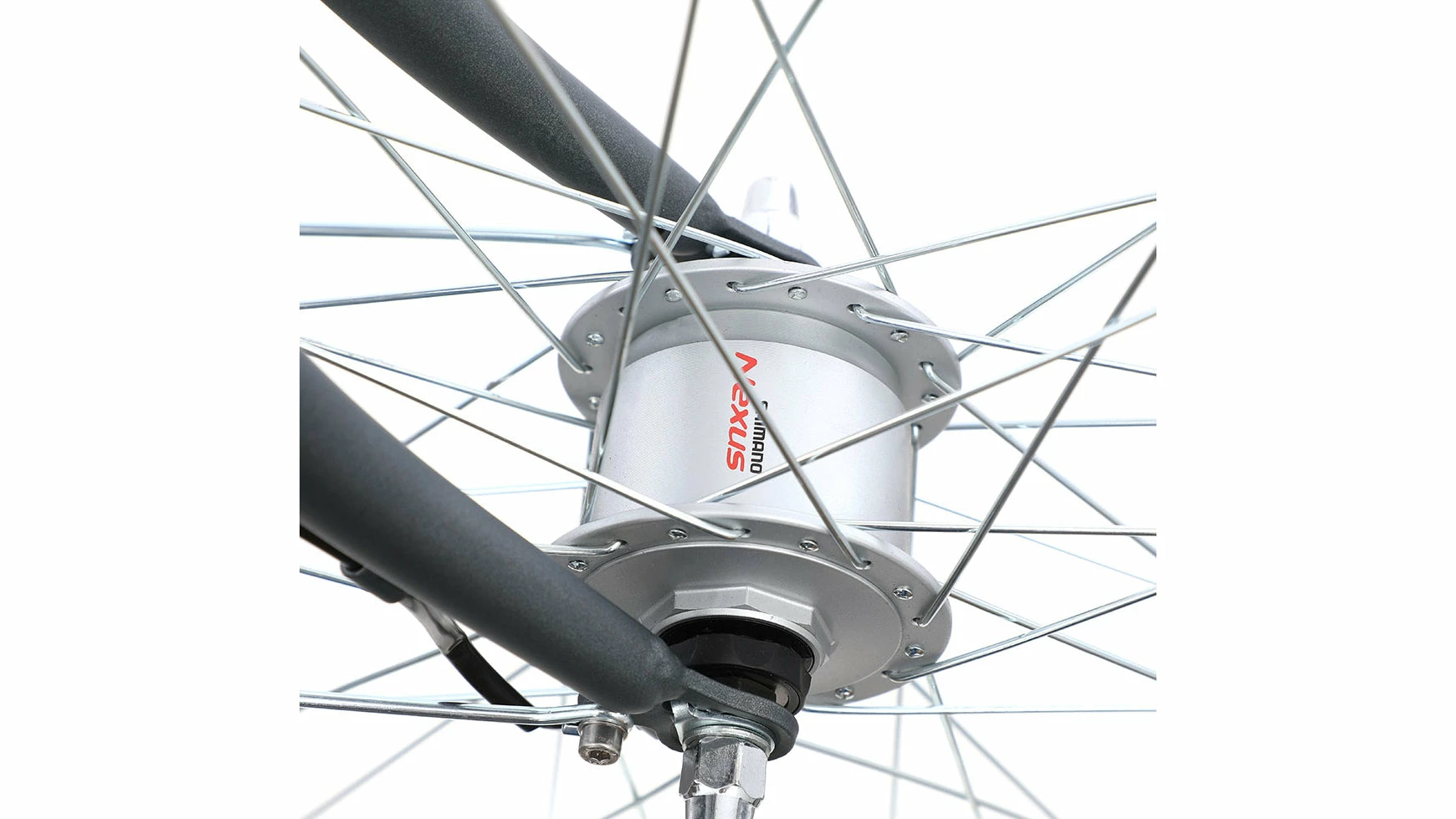 Bocas Tampa 5 Bocas Tampa – Bild 3