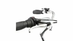 Cuneo Groningen 3 -Fahrradladen az Cuneo Nostalgie 6 ivoryferngreen 224074