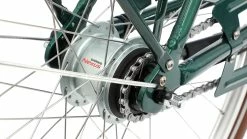 Cuneo Valencia -Fahrradladen az Cuneo Valencia 5 waldgruen 222203