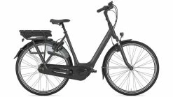 Gazelle Arroyo C7+ HMB Platin Wave