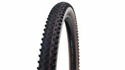 Schwalbe Racing Ray Evo SR 29