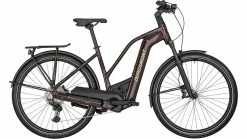 Bergamont E-Horizon Prem. Expert L