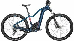 Bergamont E-Revox Premium Sport FMN