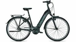 Raleigh Bristol LTD Wave FL