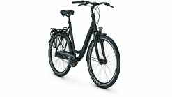 Raleigh Chester 8 XXL Wave