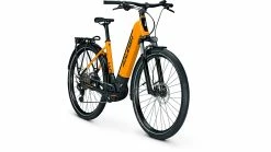 Raleigh Dundee 10 Wave