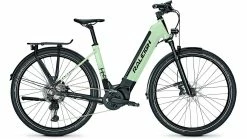 Raleigh Dundee 11 Wave