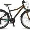 Winora Rage 26 -Fahrradladen az winora rage 26 0 blackbroncematte 223656